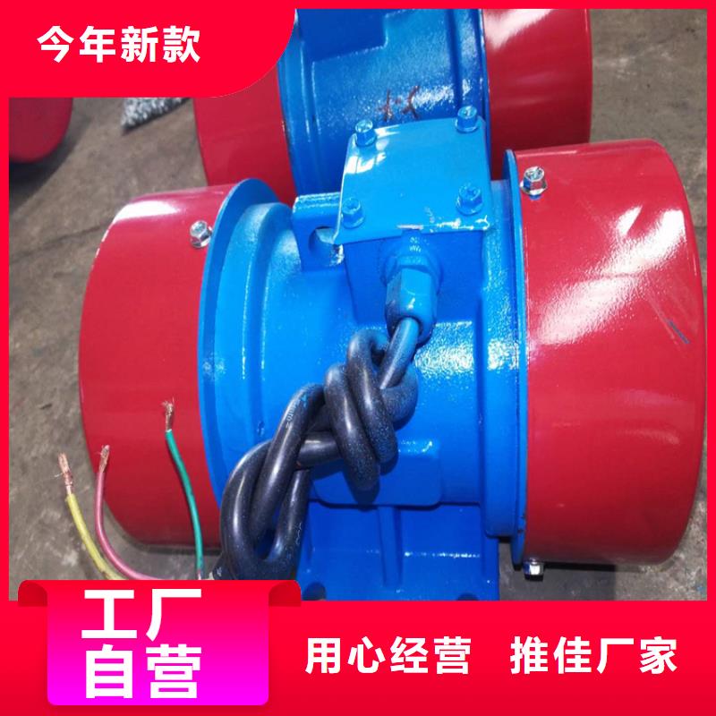 定制YBZH225-75-6防爆振动电机的厂家