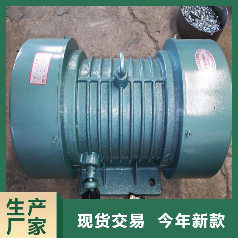 支持定制的JZO-100-6振动电机销售厂家