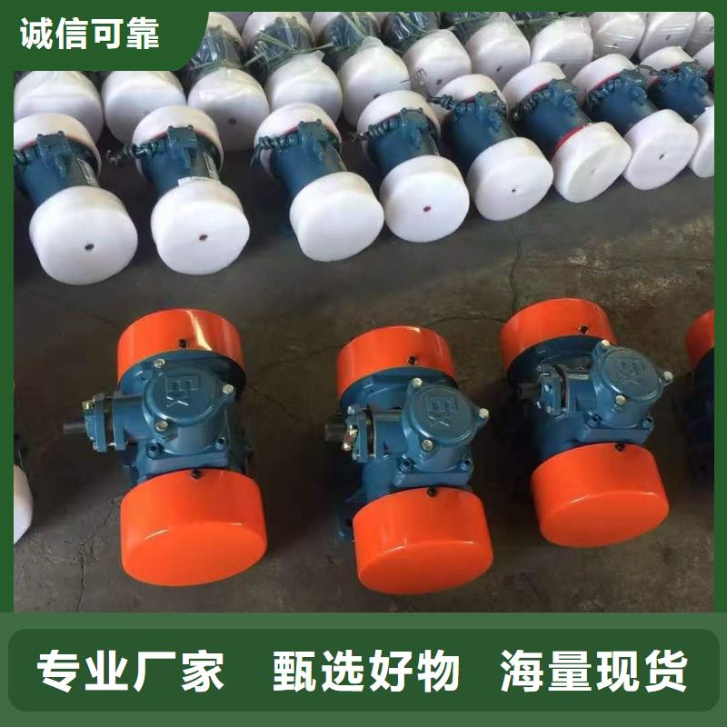 防爆振动电机货源直供