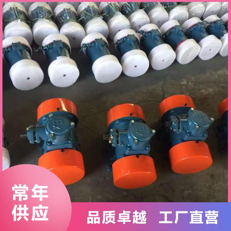 防爆振动电机化工振动筛质量层层把关