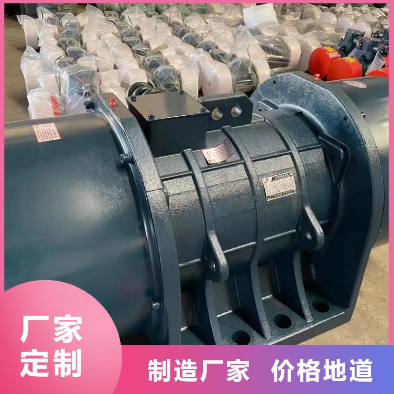 防爆振动电机平板振动器厂家产地采购