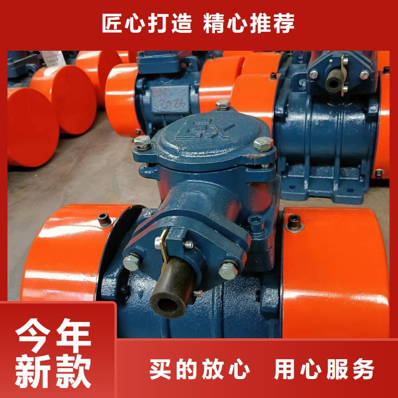 支持定制的YBZH200-20-6防爆振动电机公司