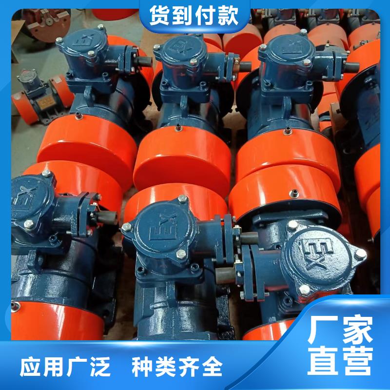 海宁防爆振动电机气体防爆振动电机实体大厂