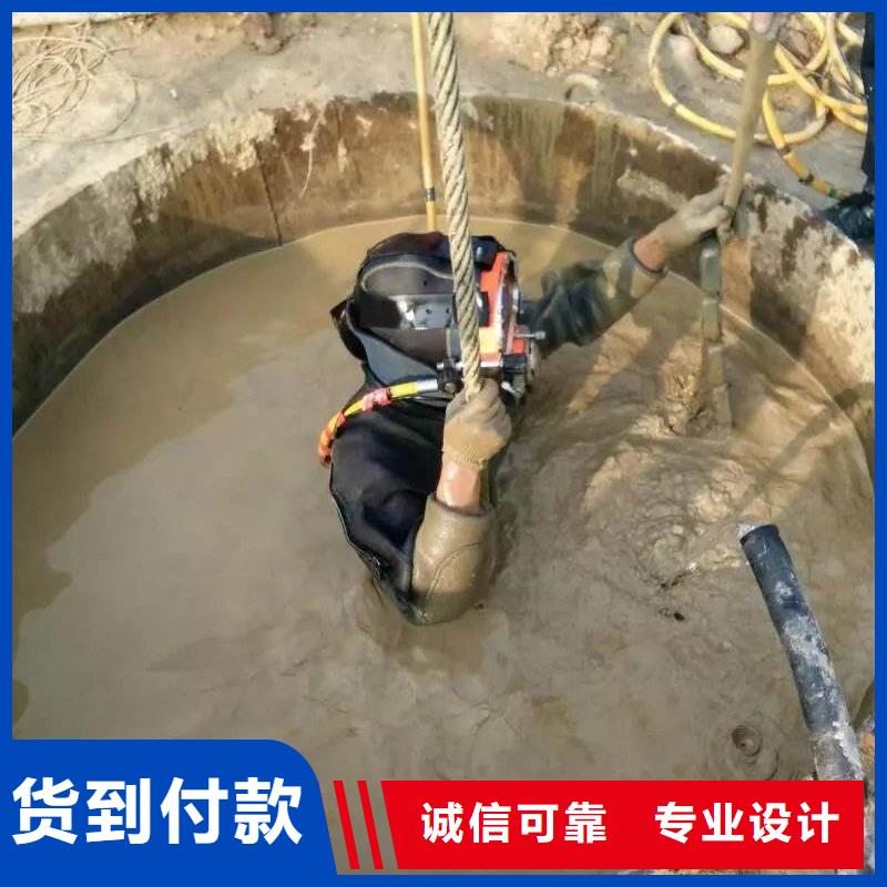 水下检测录像桥梁桩基
20年经验