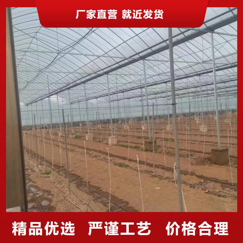温室大棚玻璃温室制作加工优选货源