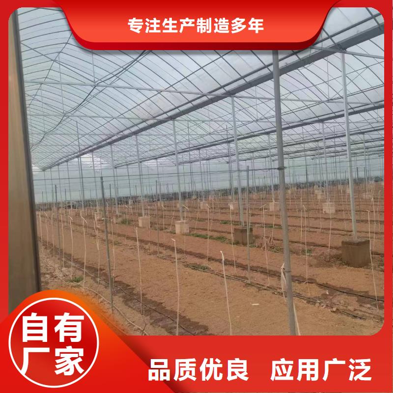 温室大棚光伏车棚制作高标准高品质