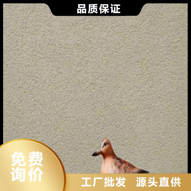 灰泥实地厂家