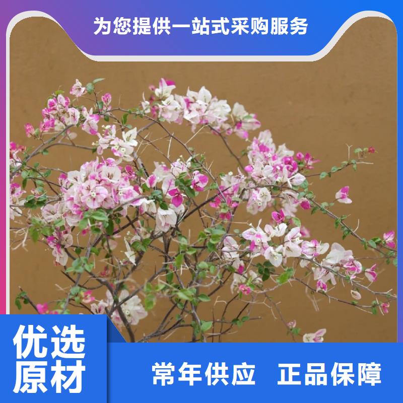 仿泥巴墙稻草漆厂家定制