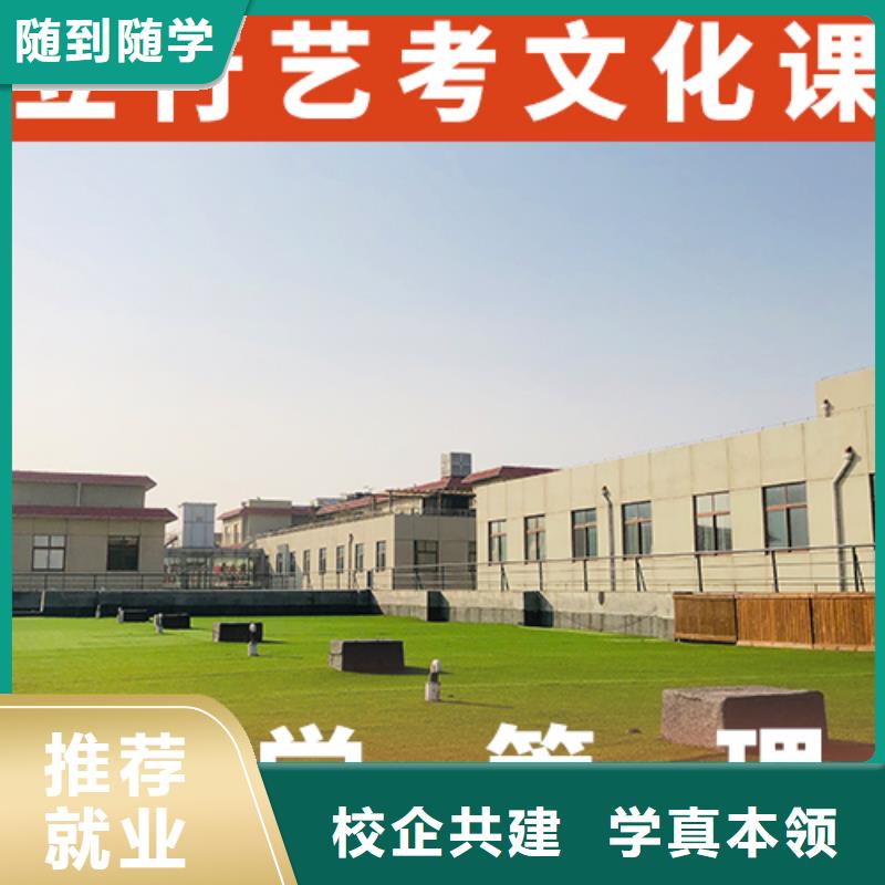 艺考生文化课_艺考一对一教学老师专业
