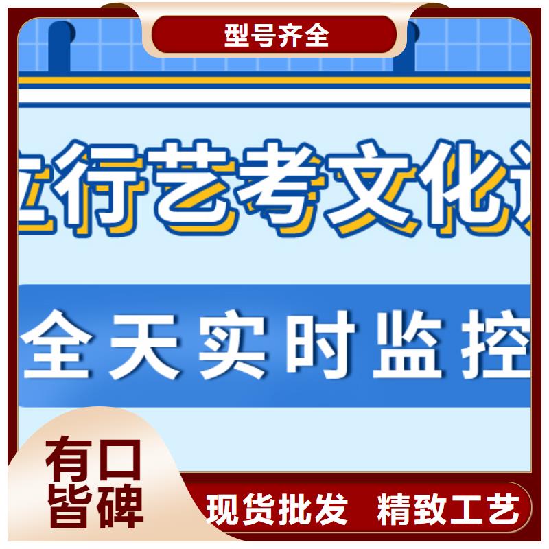 艺考文化课艺考一对一教学技能+学历