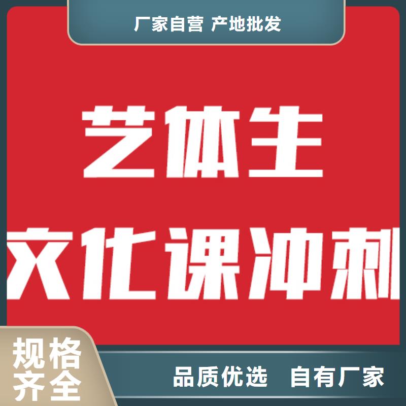 艺考文化课艺考一对一教学技能+学历