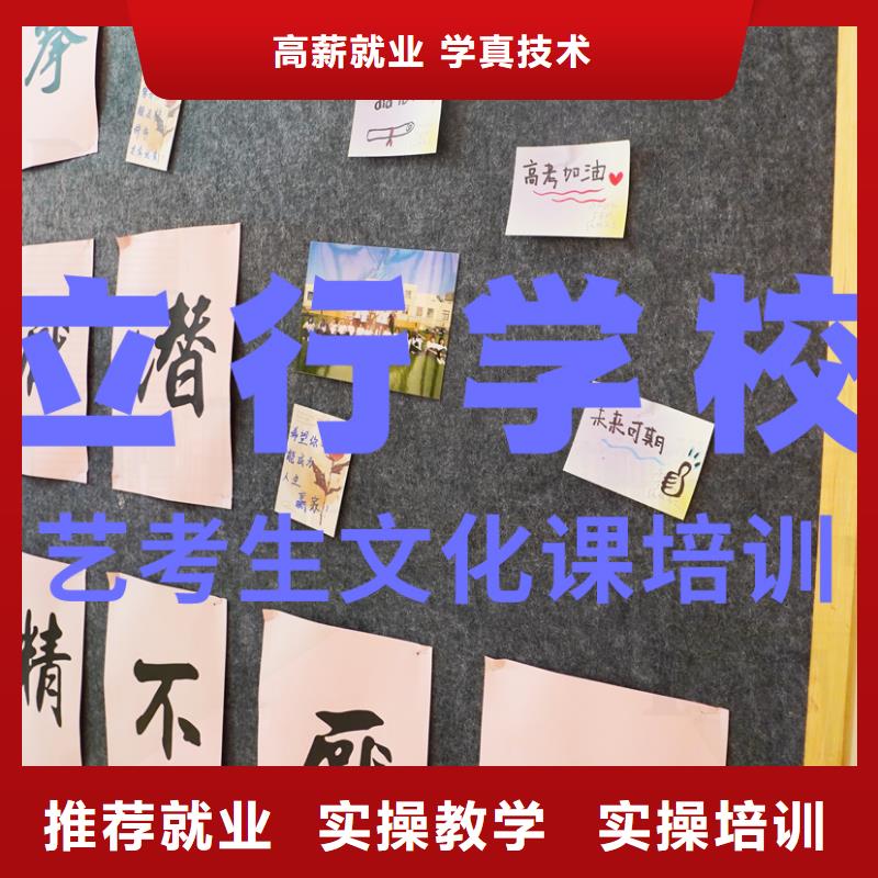 艺考生文化课【舞蹈艺考培训】实操教学