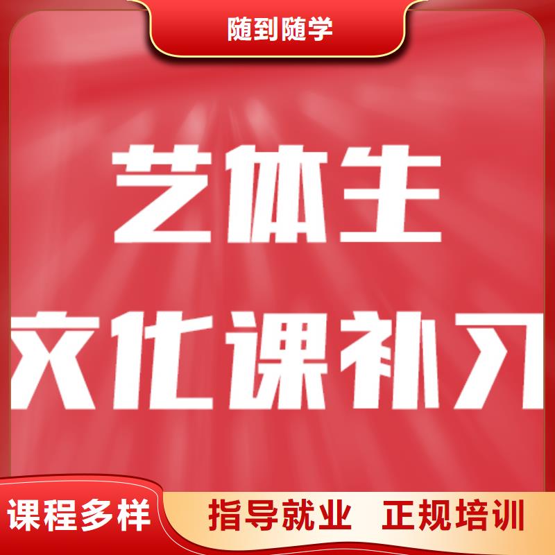 县艺考文化课补习机构

哪个好？