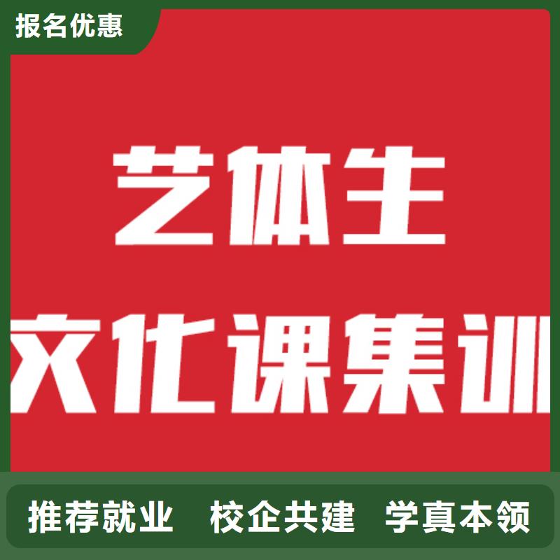 艺考生文化课艺考辅导理论+实操