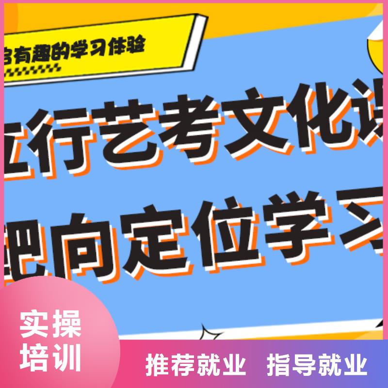 艺术生文化课艺考师资力量强