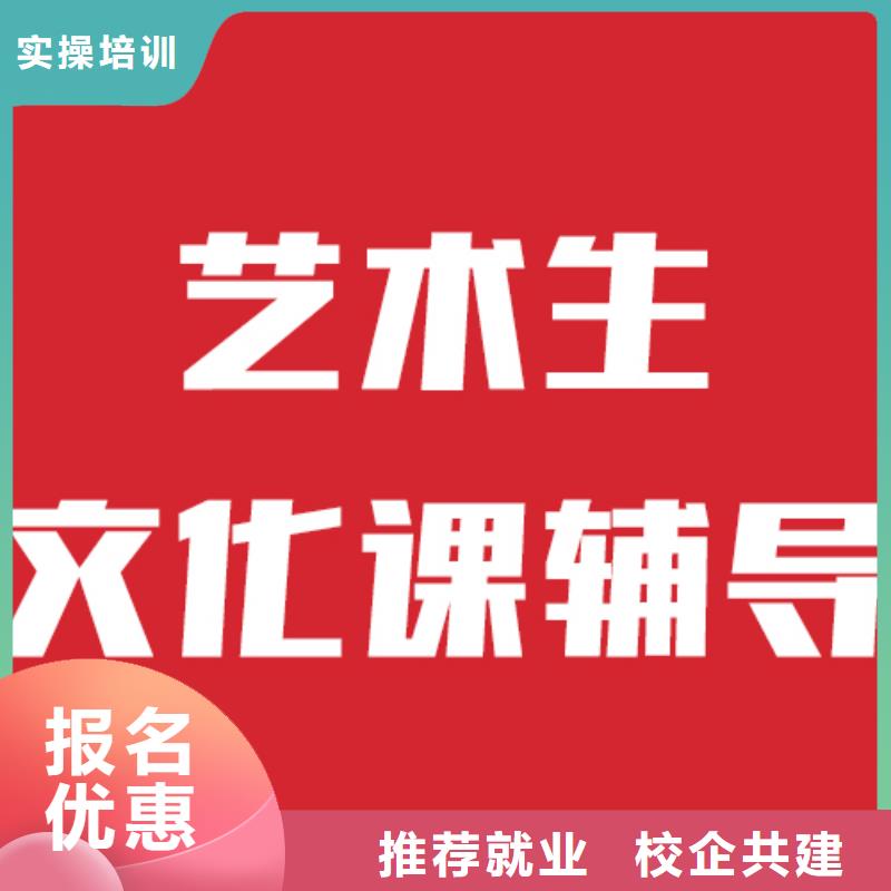 艺考文化课高中一对一辅导正规学校