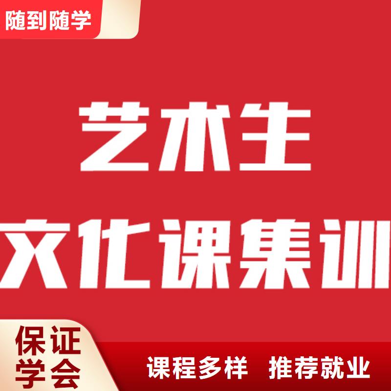 艺考文化课-艺术生文化补习全程实操