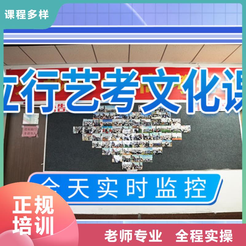 艺考文化课集训-舞蹈艺考培训专业齐全