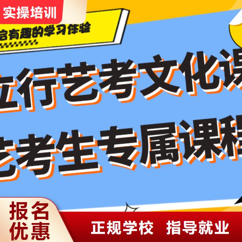 艺考生文化课高考语文辅导实操教学