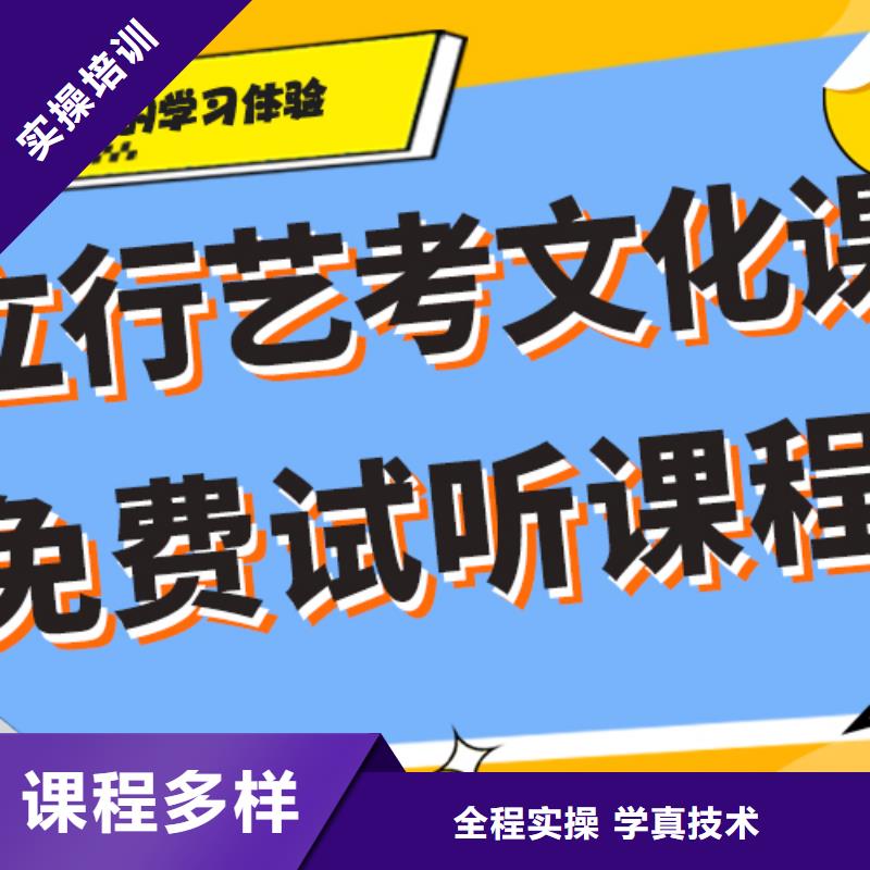 艺考生文化课高考语文辅导实操教学