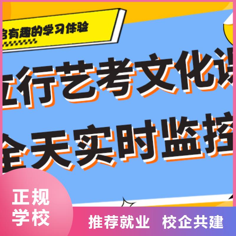 艺考生文化课艺术生文化补习全程实操