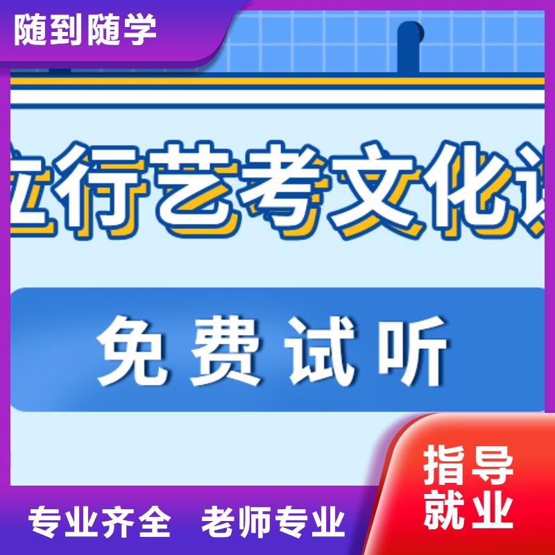 艺考生文化课高考语文辅导实操教学