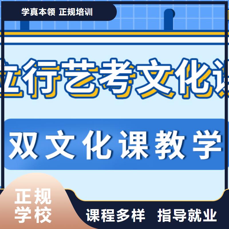 艺考生文化课高考语文辅导实操教学