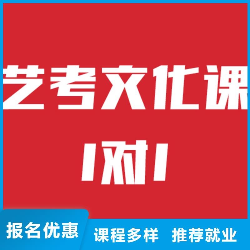 性价比高的艺体生文化课
