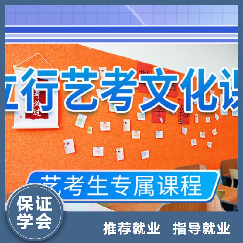 艺考文化课辅导美术艺考理论+实操