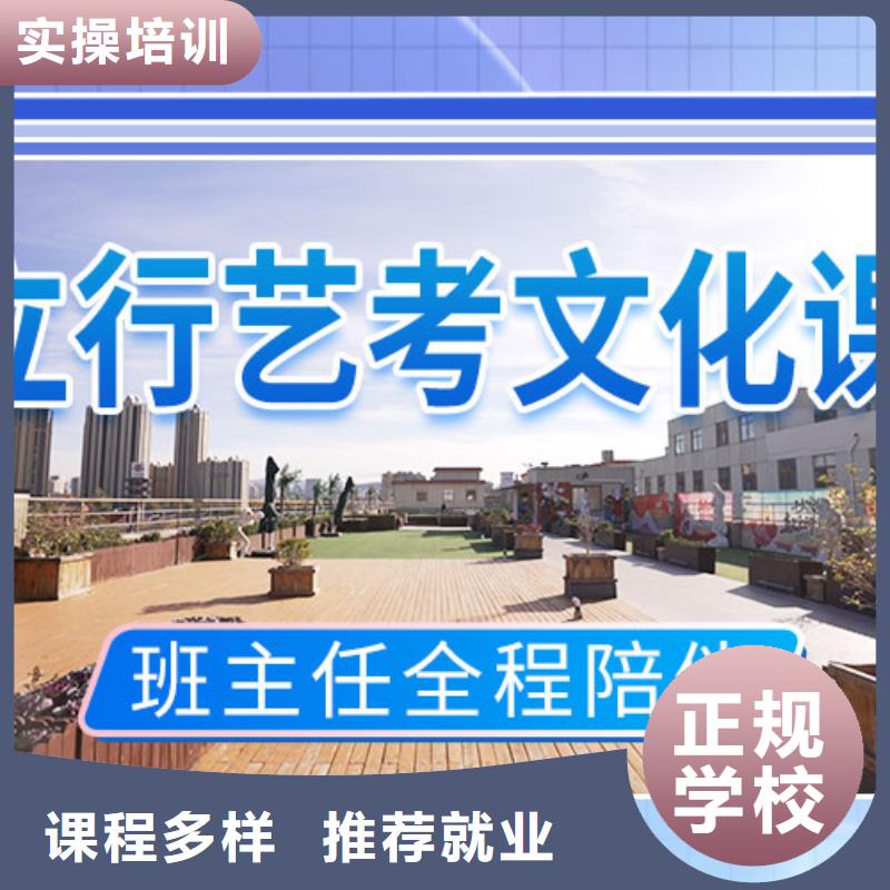 艺考文化课辅导艺考文化课冲刺学真本领