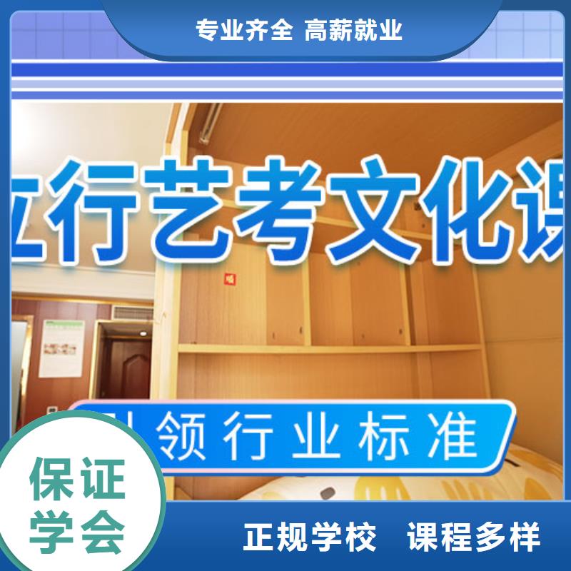 艺考生文化课培训机构有哪些