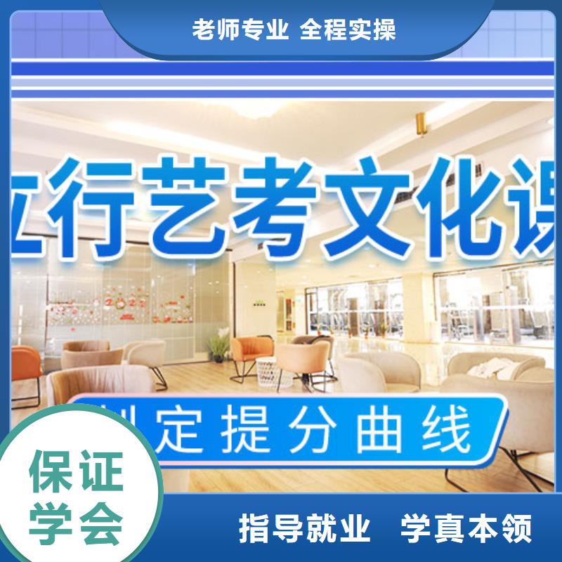 艺考生文化课培训机构有哪些