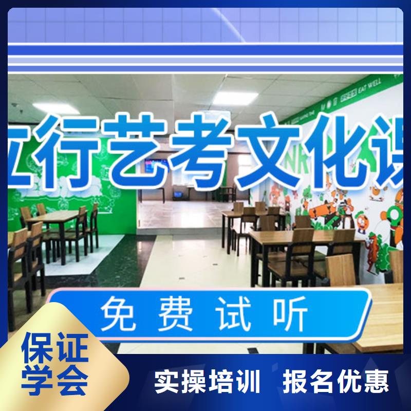 艺术生文化课培训补习有没有