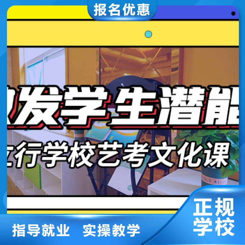 艺考文化课培训美术艺考老师专业