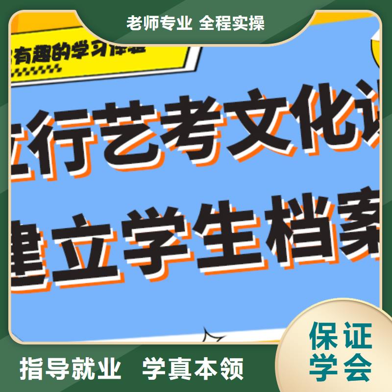 课程多样【 艺术生文化课培训机构学真技术】