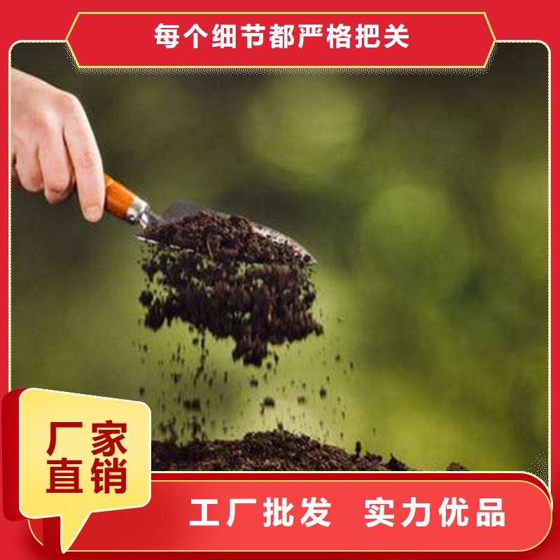 原生泰土壤固化剂优选厂家