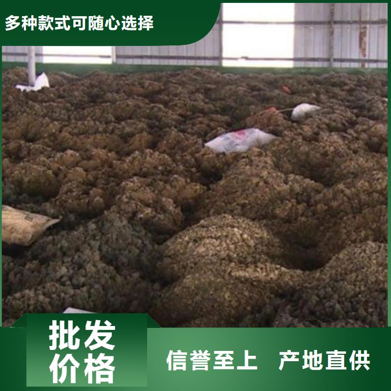 含铜泥太阳能光伏板回收现金支付