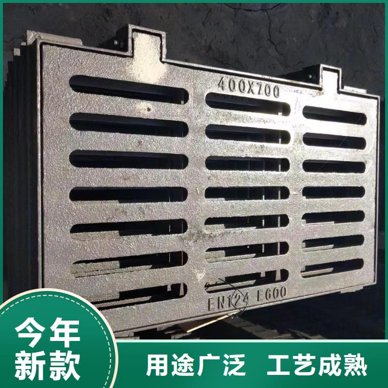 爬梯踏步球墨铸铁现货供应建通铸造厂家