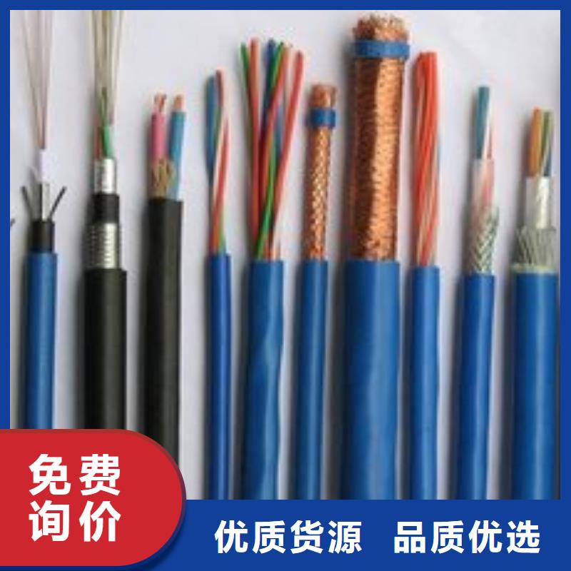 电线电缆PTYA23电缆厂家直发