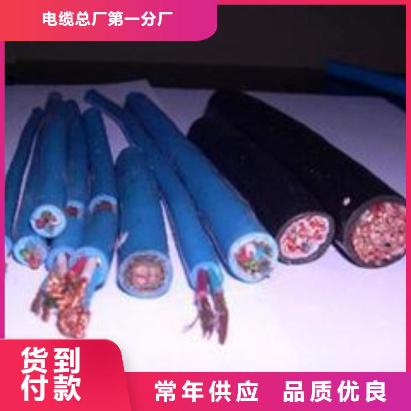 电线电缆-MKVVP电缆源头厂家