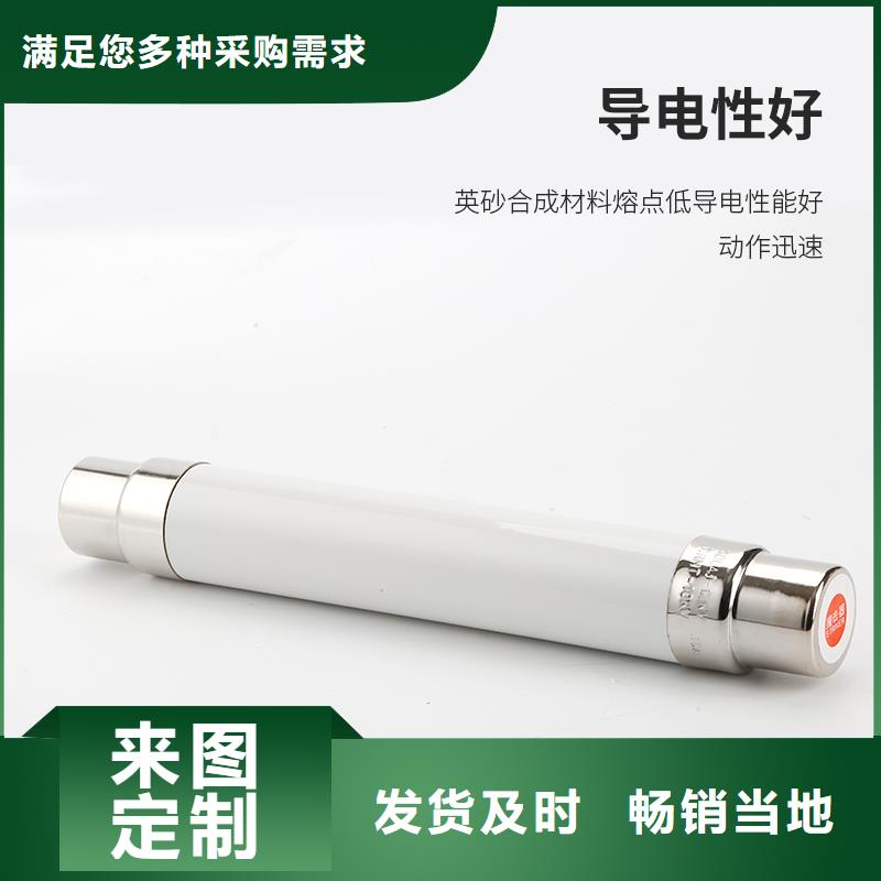 XRNP-40.5/0.2A变压器用熔断器