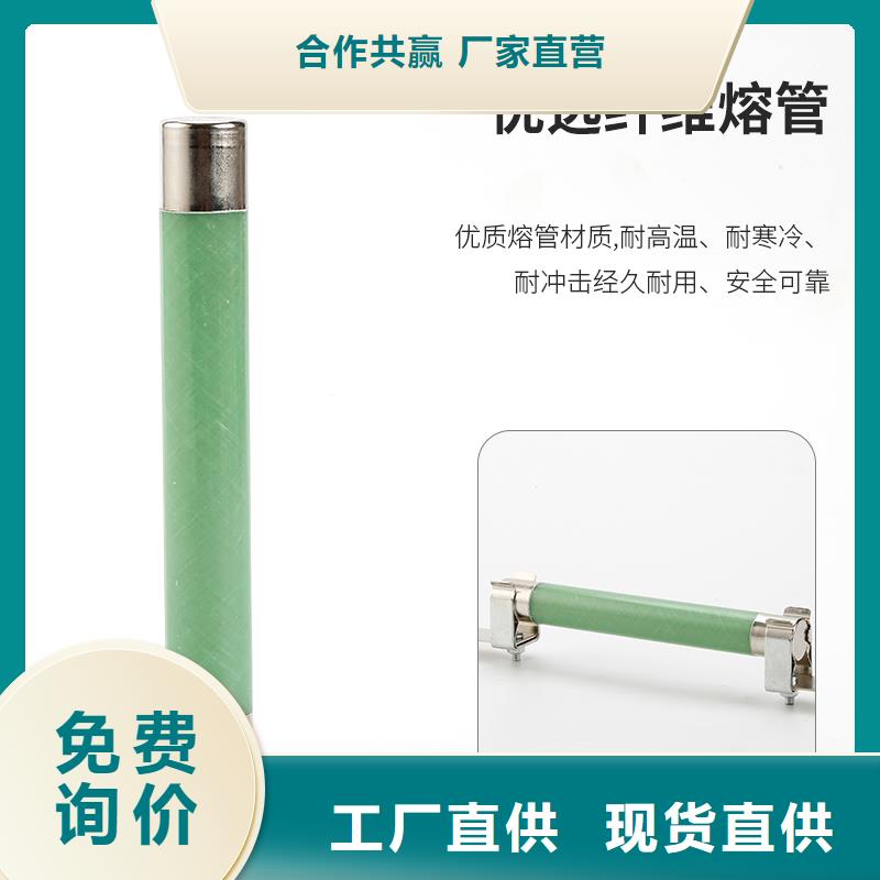 XRNP-40.5/0.2A变压器用熔断器