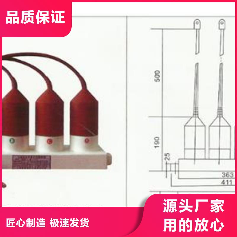 计数器_【氧化锌避雷器】适用范围广由樊高为您