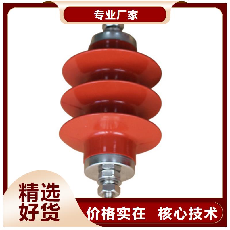 YH1.5WD-8/19高压避雷器
