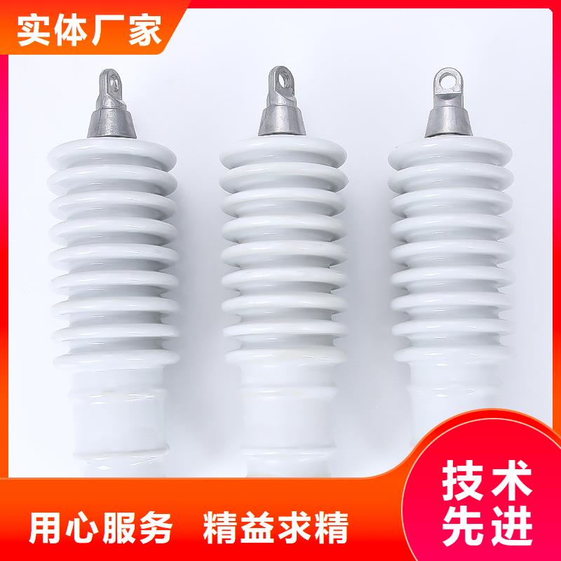 避雷器跌落式熔断器大厂家实力看得见樊高跌落式熔断器供应
