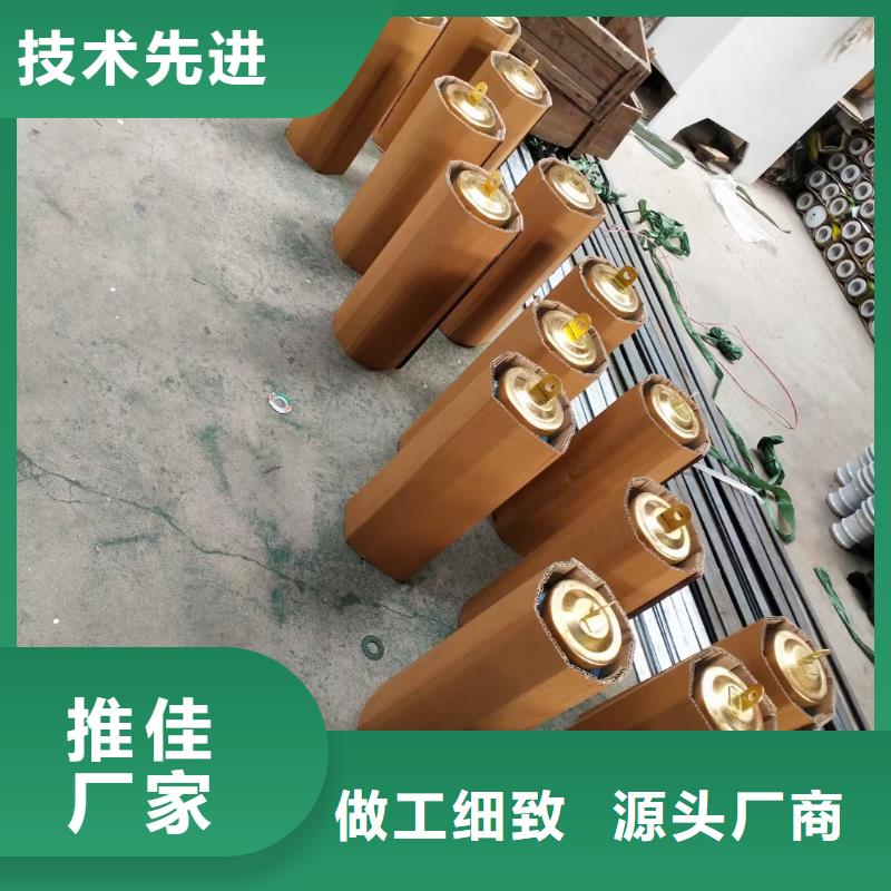金属氧化物避雷器Y5WR-7.6/27