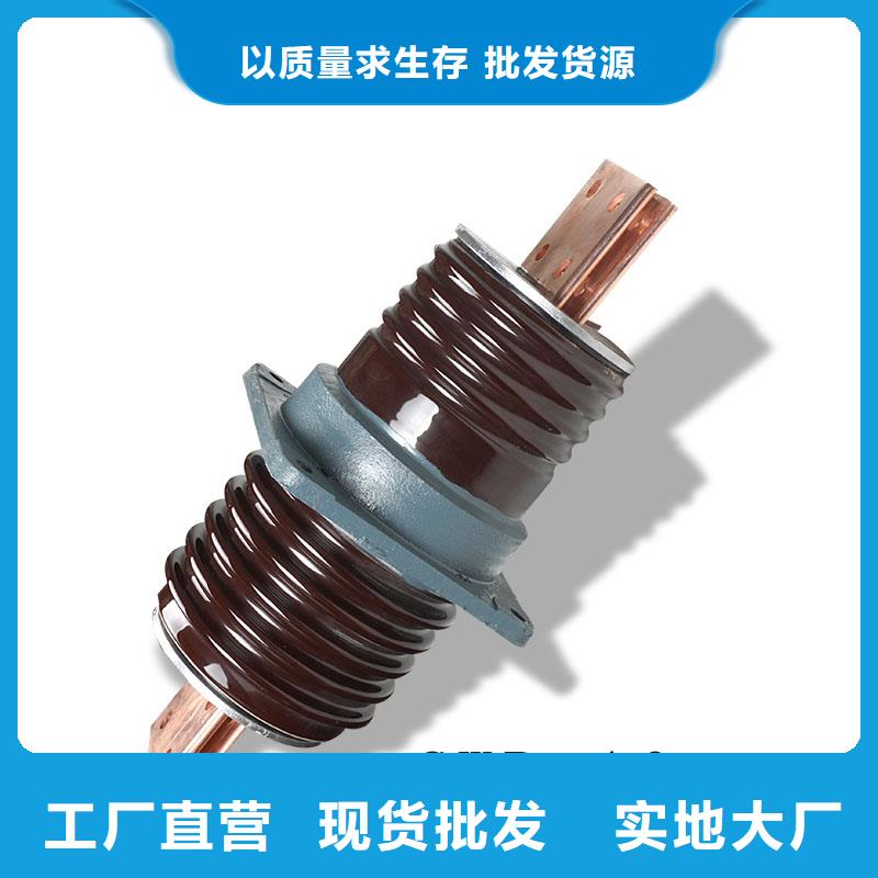 跌落式熔断器供应视频-跌落式熔断器供应-直辖香港(此地)品牌