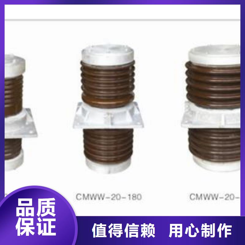 CWW-40.5/2500A-4高压穿墙套管