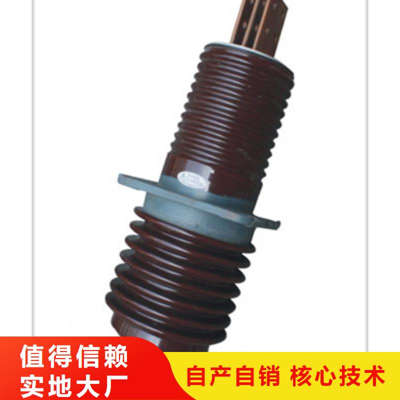 跌落式熔断器供应视频-跌落式熔断器供应-直辖香港(此地)品牌