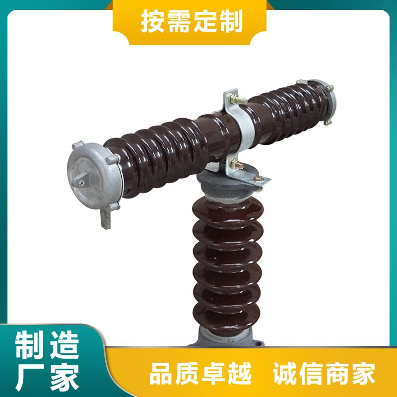 PD4-11/100A跌落保险樊高